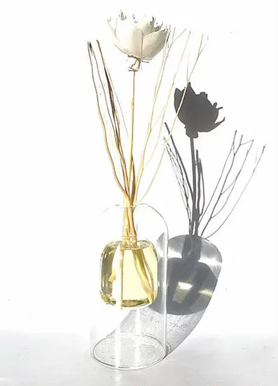 NEW! Floating Glass Globe Natural Wood Branch Diffuser. Completely Unique! LIMITED QUANTITY Sweetwater Labs