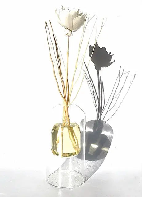 NEW! Floating Glass Globe Natural Wood Branch Diffuser. Completely Unique! LIMITED QUANTITY Sweetwater Labs