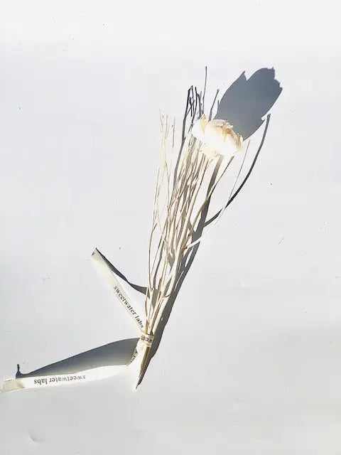 NEW! Floating Glass Globe Natural Wood Branch Diffuser. Completely Unique! LIMITED QUANTITY Sweetwater Labs
