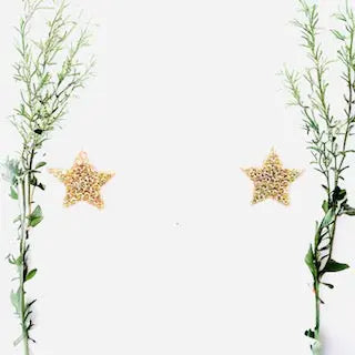 Star Stud Earrings (silver or gold) Sweetwater Labs