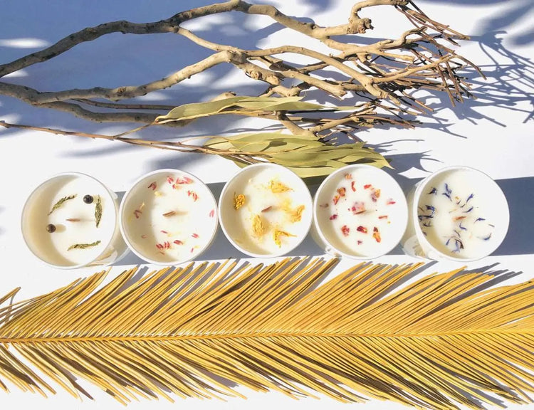 10 oz Eco-friendly, 100% Natural Wood Wick Candle 5 Set Sweetwater Labs