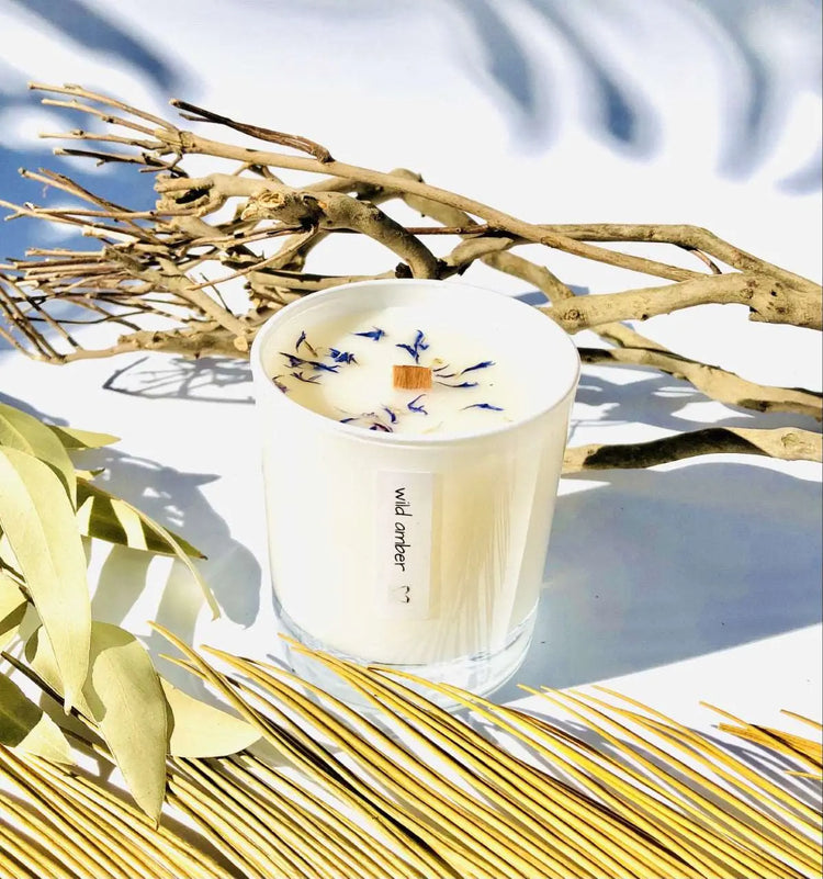 10 oz Wild Amber. Eco-friendly, 100% Natural, Wood Wick Candle Sweetwater Labs
