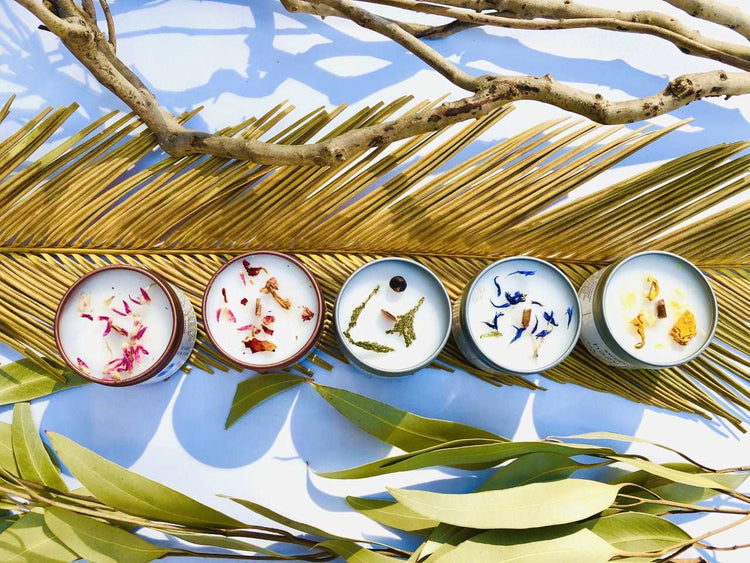 Five Wood-Wick, Eco-Friendly Candles Special Collection: Enjoy them all! Sweetwater Labs