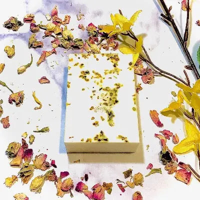 GOAT'S MILK SOAP (VERTI). Ultra hydrating, notes of cedar + bergamot 4 pack Sweetwater Labs
